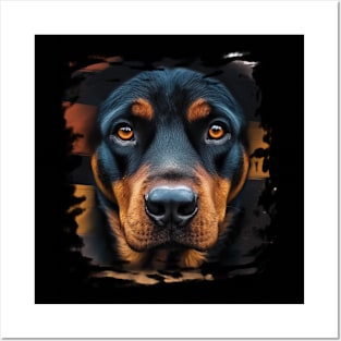 Rottweiler Face Rottweiler Dog Lover Posters and Art